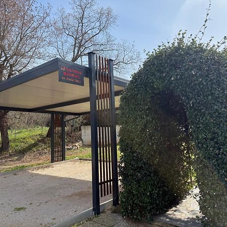 Apartmani Marinac Poreč Kültér fotó